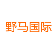 野马国际 LOGO
