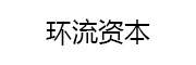 环流资本_LOGO