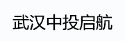 武汉中投启航 LOGO