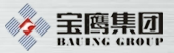 深圳市宝鹰建设控股集团股份有限公司_LOGO