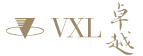 卓越金融_LOGO