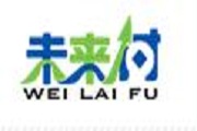 未来付