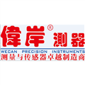 伟岸测器Logo