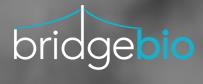 BridgeBioLogo