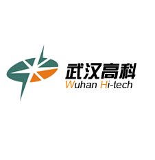 武汉高科