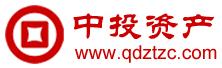 中投资产