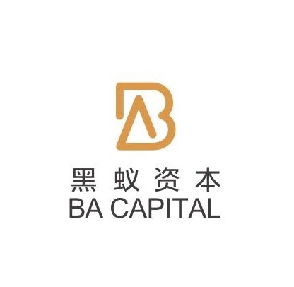 黑蚁资本LOGO