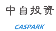 中自投资LOGO