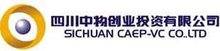 中物创投 LOGO