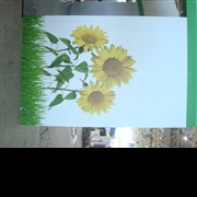 殊新智能工作室