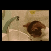 星辰似海的阴天