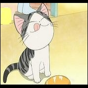资本小猫