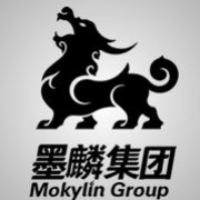 (顺荣股份) 投过项目(墨麟科技)