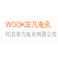 WOOK非凡电讯_LOGO