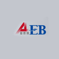 爱恩博医疗 LOGO