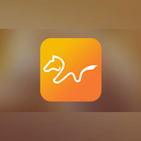 (龙翌资本) 投过项目(玩得嗨)