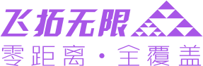 (日本亚洲投资) 投过项目(飞拓无限)