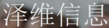 (中国智能) 投过项目(泽维信息)