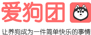 爱狗团 LOGO