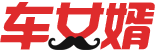 车女婿