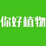 你好植物 LOGO