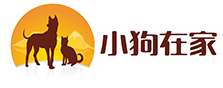 小狗在家