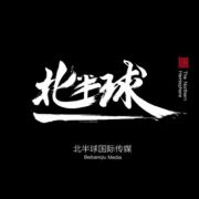 北半球传媒-北半球国际 LOGO