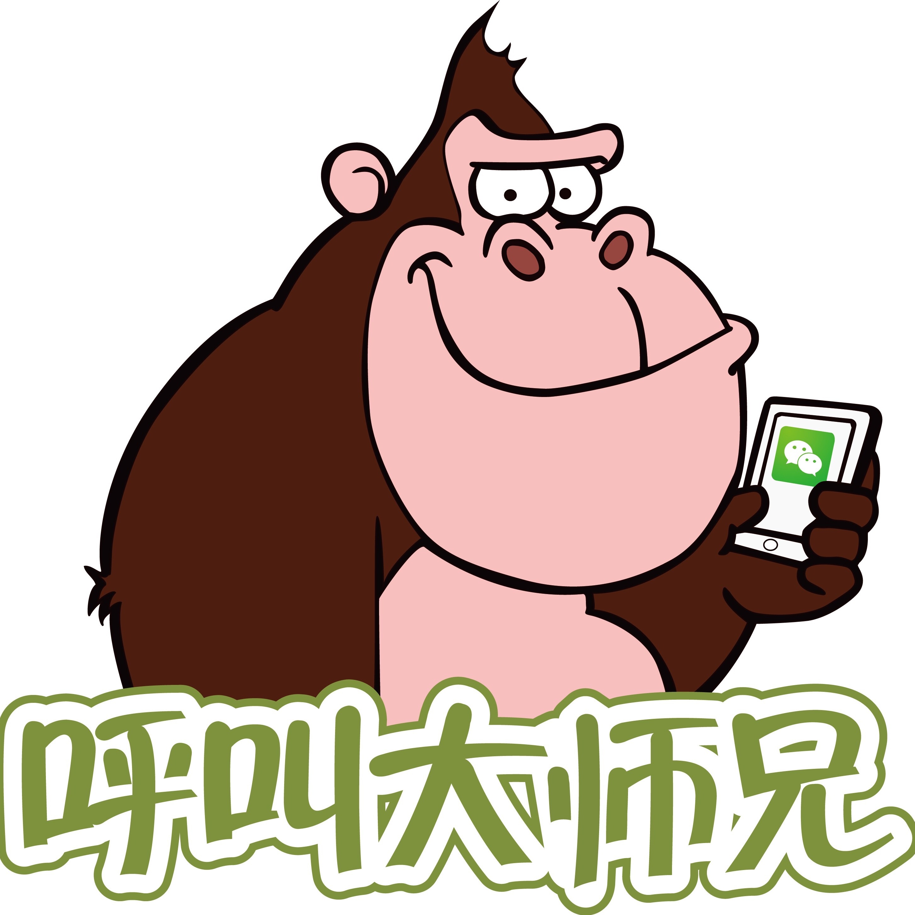 深圳乐思乐斯网络科技有限公司 LOGO