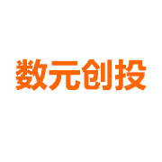 数元创投 LOGO