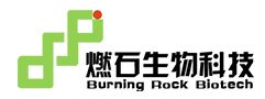 燃石医学-燃石生物LOGO