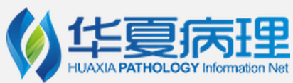 华夏病理网LOGO