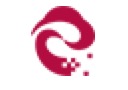 云天翼付 LOGO